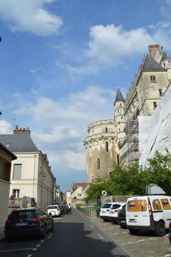 Apartment Cosy Studio, At Foot Of - Au Pied Du, Chateau D'amboise *
