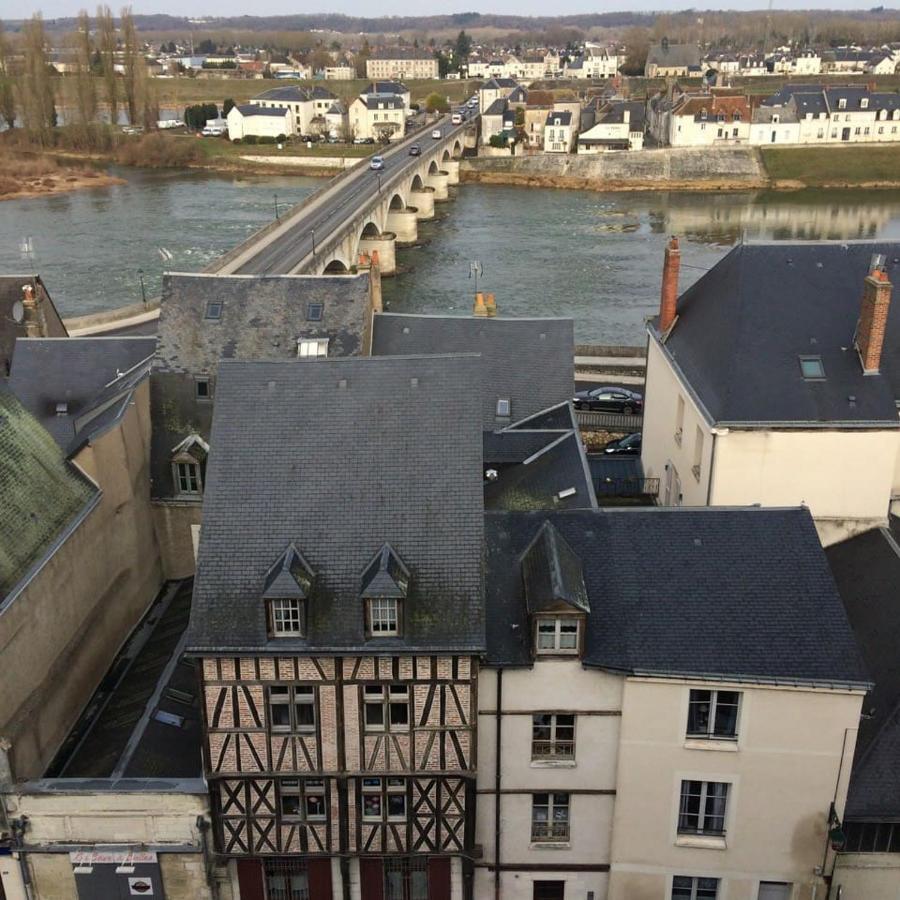Apartment Cosy Studio, At Foot Of - Au Pied Du, Chateau D'amboise Amboise